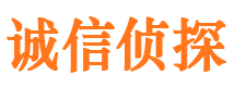 下城外遇调查取证